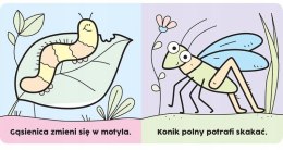 Czarodziejski pędzelek. Na łące Malowanka wodna Aksjomat