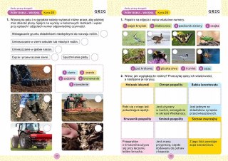 Drugaki. Karty Pracy w Szkole i w Domu. Greg