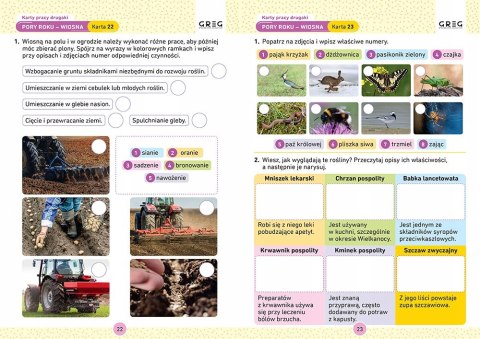 Drugaki. Karty Pracy w Szkole i w Domu. Greg