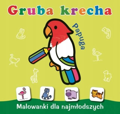 Gruba krecha Papuga Kolorowanka dla Najmłodszych