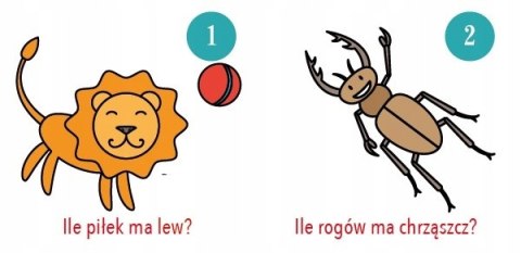 Ile łat ma krowa? Książeczka dla Maluszka