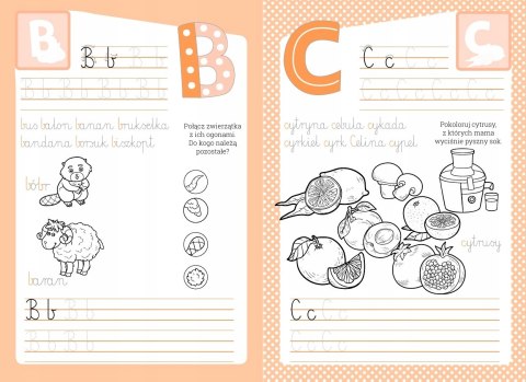 Kaligrafia i ja. Literki 24 Naklejki Litery