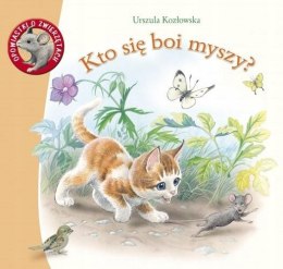 Książeczka Kto się boi myszy? Wierszyki Bajeczki