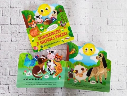 Książka Dźwiękowa Sensoryczna Zwierzaczki z Paczki