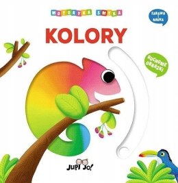 Motoryka smyka Kolory Ruchome Obrazki dla Malucha