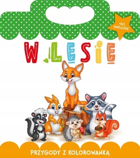 Przygody z kolorowanką w Lesie + 48 Naklejek