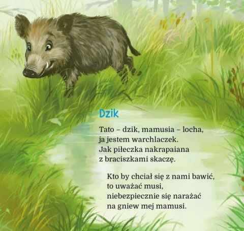 Zwierzaki-Dzieciaki Puszcza Bajeczki Bajki