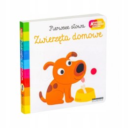 Zwierzęta Domowe Pierwsze Słowa Akademia Mądrego HarperKids