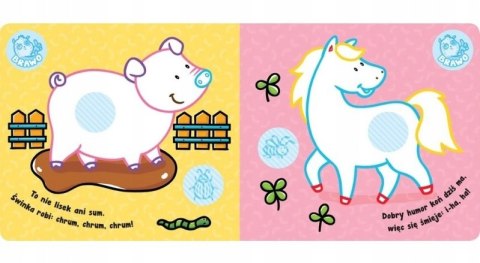 Zwierzęta na wsi Kolorowanka z grubym obrysem Aksjomat