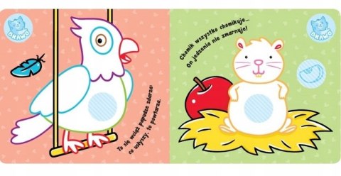 Zwierzęta w domu Kolorowanka z grubym obrysem Aksjomat