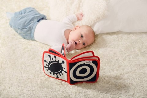 KSIĄŻECZKA KONTRASTOWA KSZTAŁTY KONTRASTY MALUSZKA