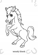 Maluszkowe malowanie Koniki Kolorowanka Malowanka