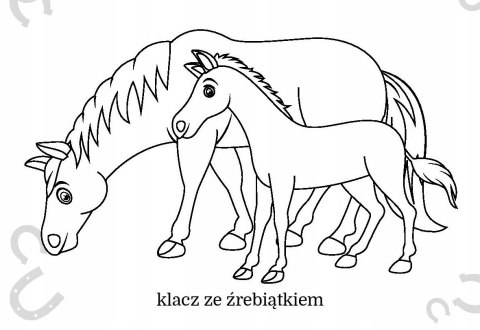 Maluszkowe malowanie Koniki Kolorowanka Malowanka