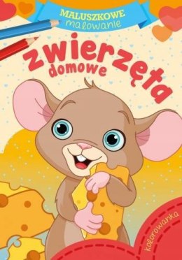 Maluszkowe malowanie Zwierzęta Domowe Kolorowanka