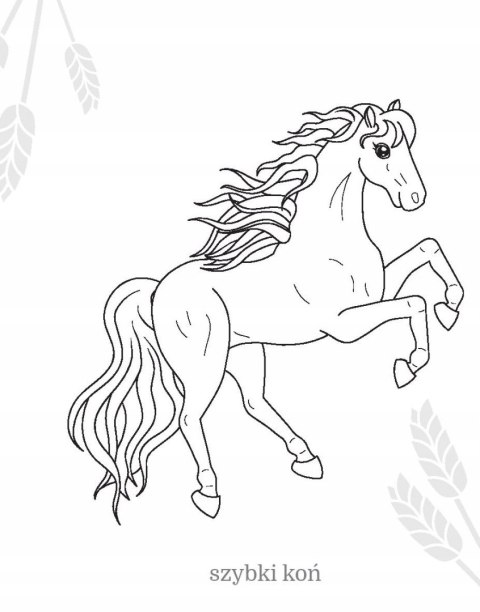 Maluszkowe malowanie Zwierzęta na Wsi Malowanka