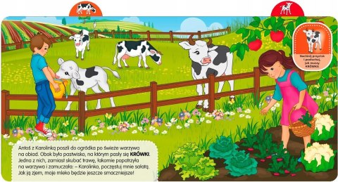 Odkrywam Dźwięki Zwierzęta Książka Dźwiękowa