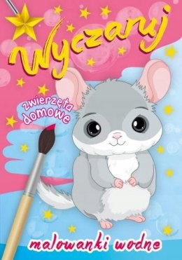 Wyczaruj Zwierzęta Domowe Malowanka Wodna Maluj