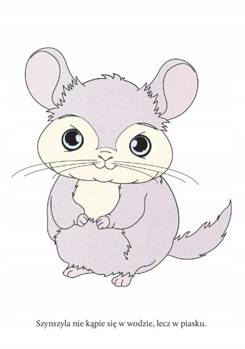 Wyczaruj Zwierzęta Domowe Malowanka Wodna Maluj