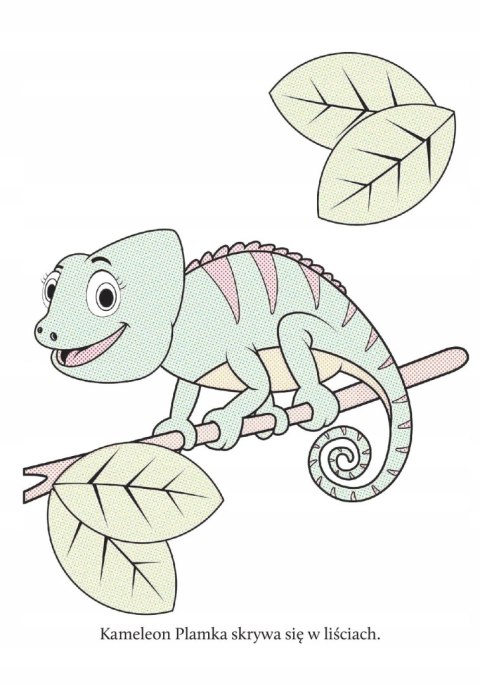 Wyczaruj Zwierzęta Domowe Malowanka Wodna Maluj