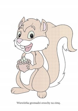 Wyczaruj Zwierzęta w Lesie Malowanka Wodna