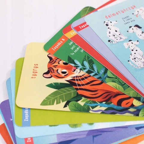 ZAGADKI Z DZIURKĄ CZUCZU DLA DZIECI 4+ CZU CZU