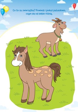 Akademia 4-Latka Zadania i ćwiczenia dla 4-latka