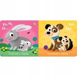 Mały miś to lubi! Szukamy mamy Układanka z dziurką Aksjomat