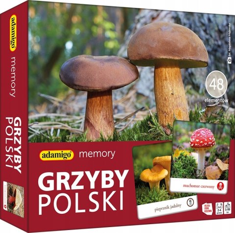 Memory Grzyby Polski Gra Pamięciowa Pamięć Adamigo Memo