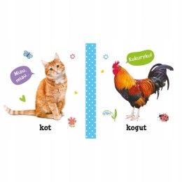 Pierwsze Słowa i Dźwięki Na wsi Książeczka Aksjomat