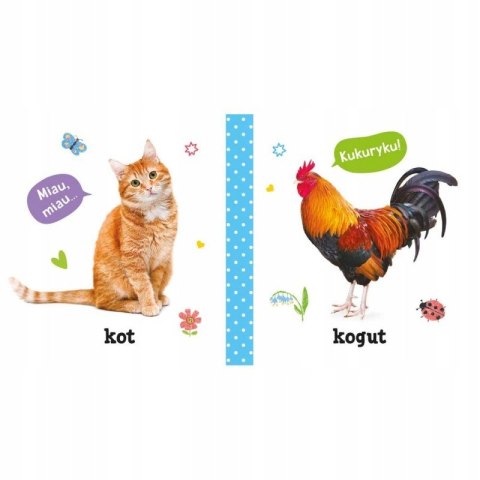 Pierwsze Słowa i Dźwięki Na wsi Książeczka Aksjomat