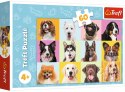 Puzzle 17374 Słodkie Psiaki 60 elementów Trefl