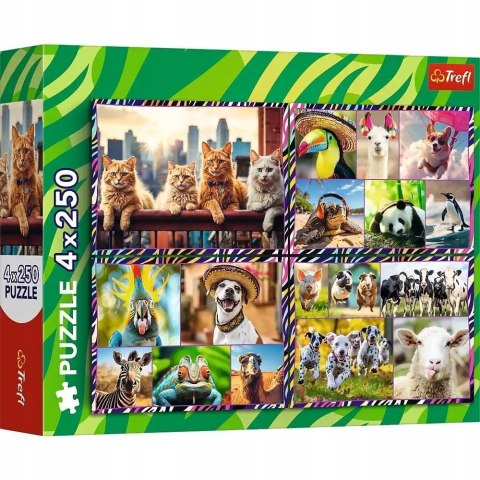 Puzzle 4x250 elementów Zabawne zwierzaki Trefl 13313