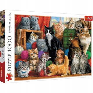 Puzzle Kocie spotkanie 1000 elementów 10555 Trefl