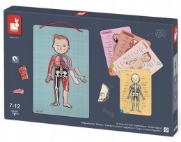 Układanka Magnetyczna Ciało Człowieka Janod 7+