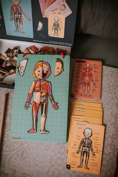 Układanka Magnetyczna Ciało Człowieka Janod 7+