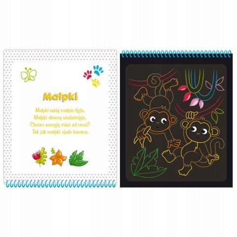 Zwierzęta Zdrapywanka z rysikiem Wydrapywanka Aksjomat