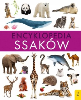 Encyklopedia ssaków kompendium wiedzy