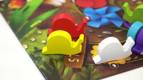 Gra Planszowa Ślimaki to Mięczaki 5+ Nasza Księgarnia