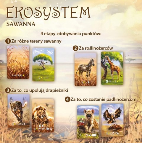 Gra planszowa Ekosystem 3 Sawanna Nasza Księgarnia