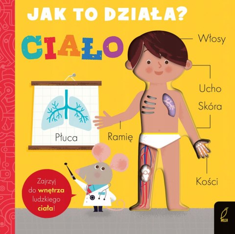 Książeczka Jak to działa? Ciało Zajrzyj do wnętrza
