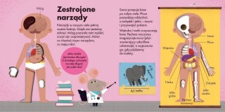 Książeczka Jak to działa? Ciało Zajrzyj do wnętrza