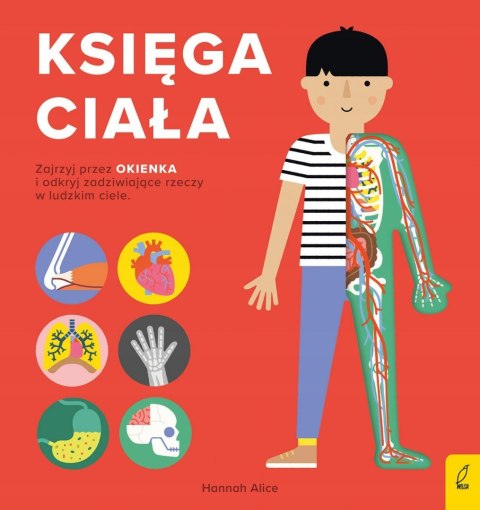 Księga ciała Encyklopedia z folią Ciało człowieka