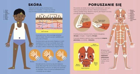 Księga ciała Encyklopedia z folią Ciało człowieka