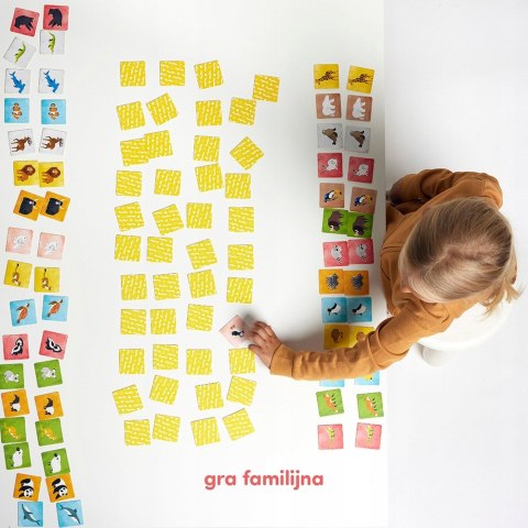 Memory CzuCzu Zwierzęta świata 108 elementów 3+