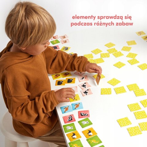 Memory CzuCzu Zwierzęta świata 108 elementów 3+