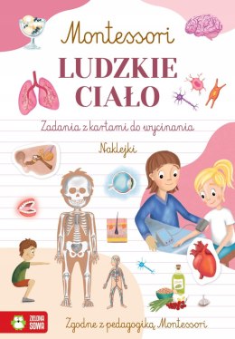 Montessori Ludzkie Ciało Zielona Sowa