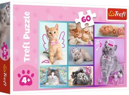 Puzzle 17373 Słodkie Kociaki 60 elementów Trefl