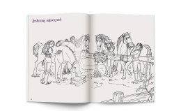 Schleich Horse Club Moja kolorowanka Ameet Malowanka Naklejki