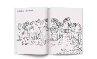 Schleich Horse Club Moja kolorowanka Ameet Malowanka Naklejki