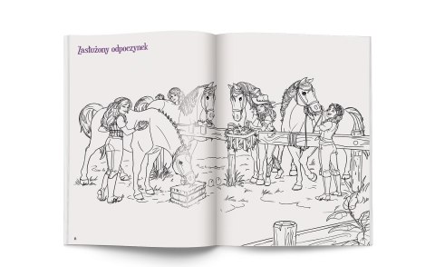 Schleich Horse Club Moja kolorowanka Ameet Malowanka Naklejki